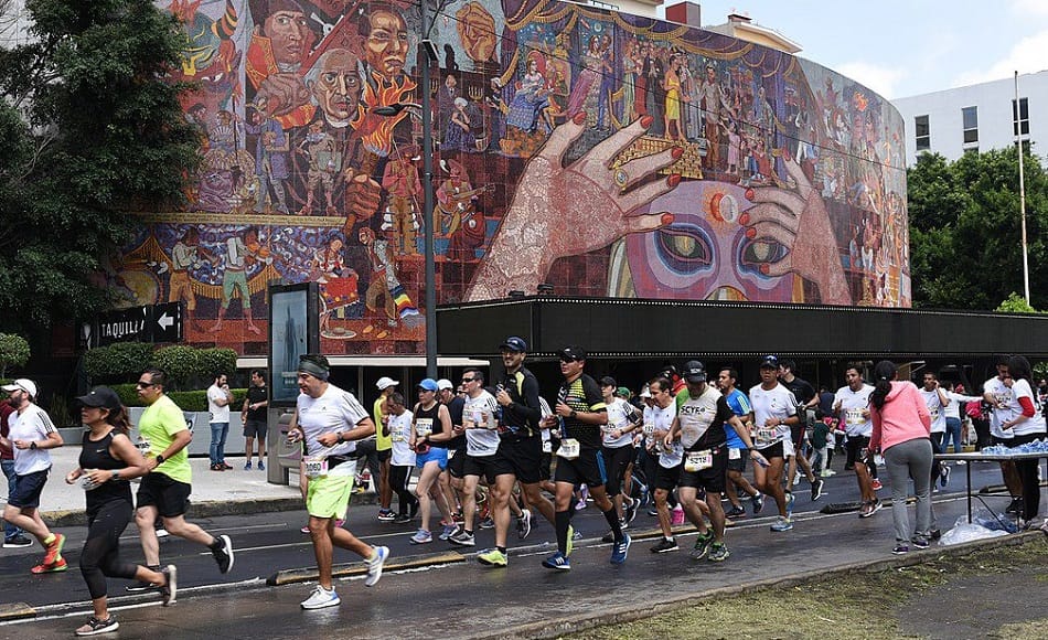 Giải marathon có hơn 1/3 người tham dự bị loại vì gian lận