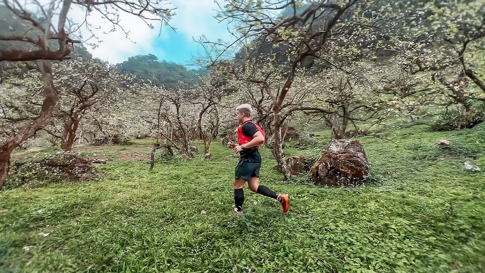 VTM 2024 – Chạy giữa ngàn hoa