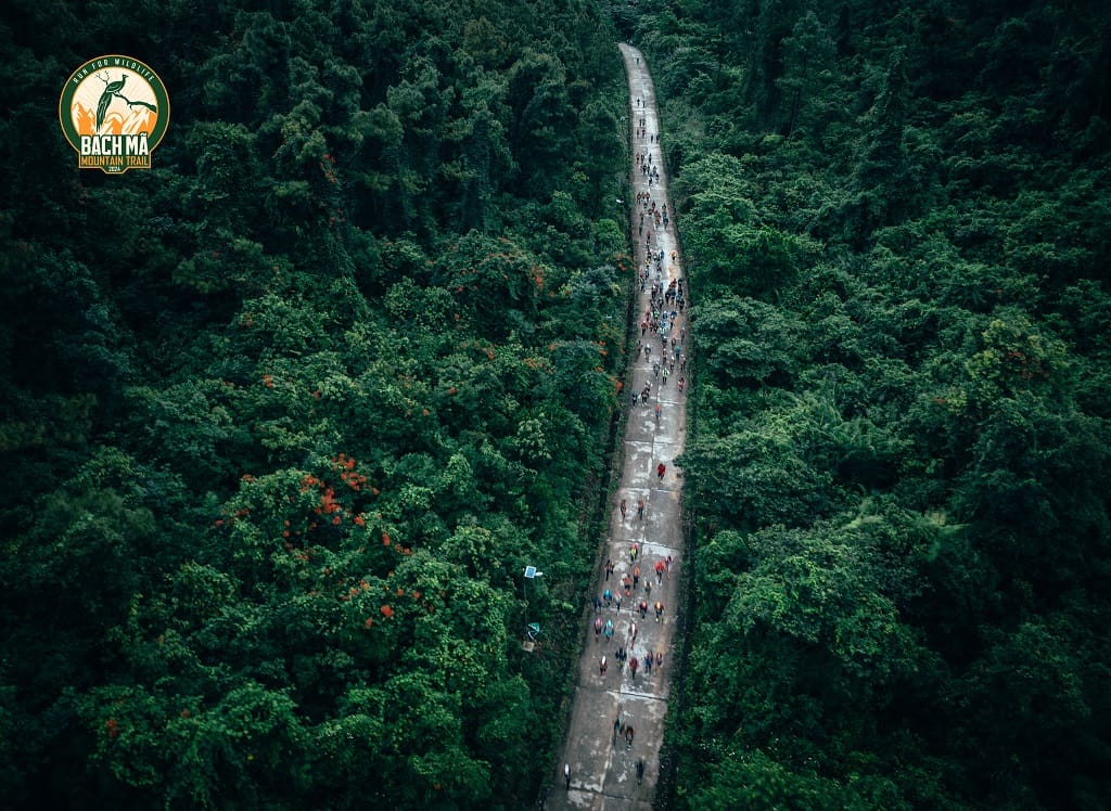 500 runner góp phần bảo tồn thiên nhiên Vườn Bạch Mã Mountain Trail 2024